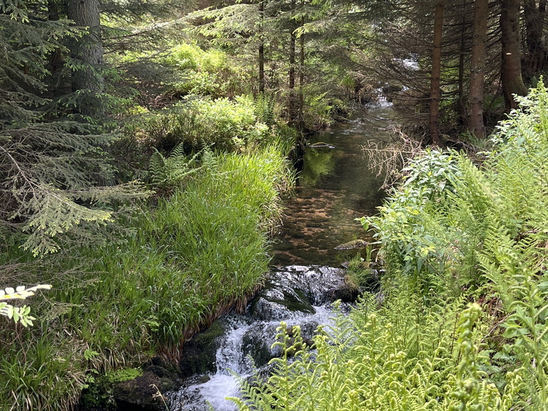 22-05-29 12-59-08 0970